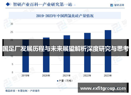 国足厂发展历程与未来展望解析深度研究与思考